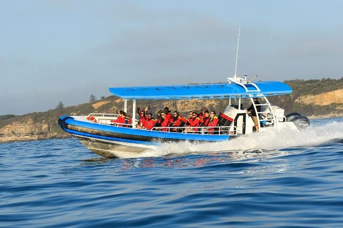 Hunter Coastal Adventure Tour by Boat From Newcastle - Overview and Booking Information