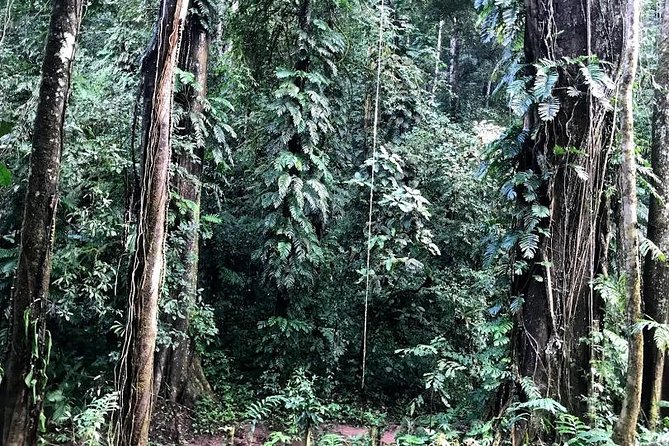 Hunter Trails, 3 Days Difficult Trekking With Camping & Homestay - Trekking Trail Highlights