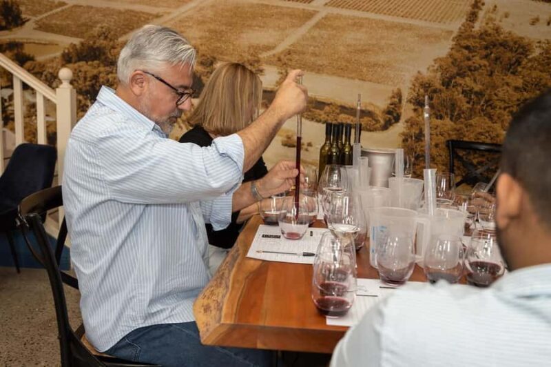 Hunter Valley: A Winemaker for the Day Experience - The Unique Aspects of McCaffreys Estate