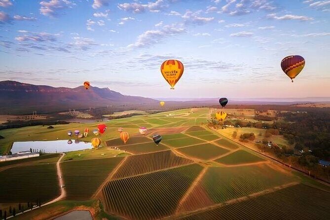Hunter Valley Day Tour - Hunter Valley Day Tour: A Delicious Taste of Australia’s Oldest Wine Region