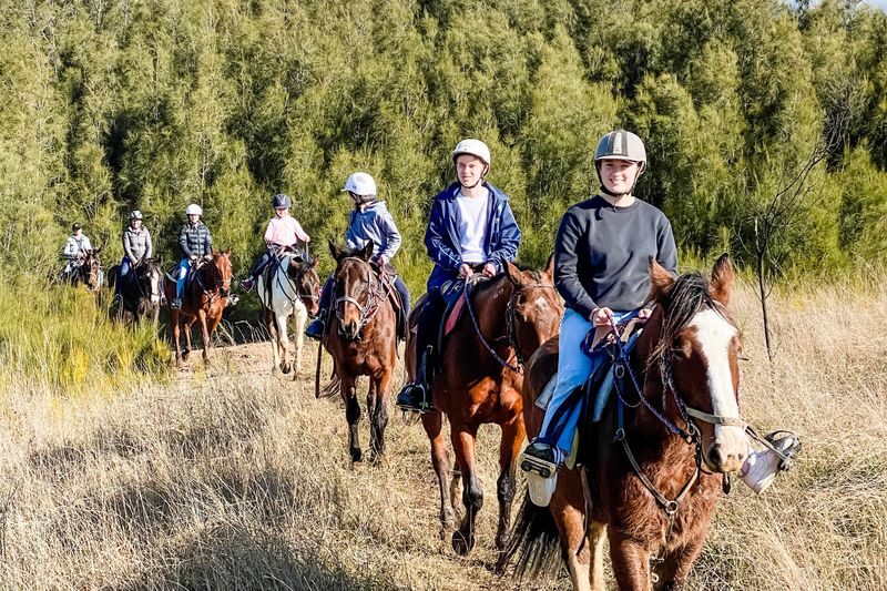 Hunter Valley Day Tours and Experiences - Key points before you choose