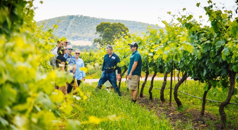 Hunter Valley Day Tours and Experiences - A wildlife park option with scheduled keeper talks