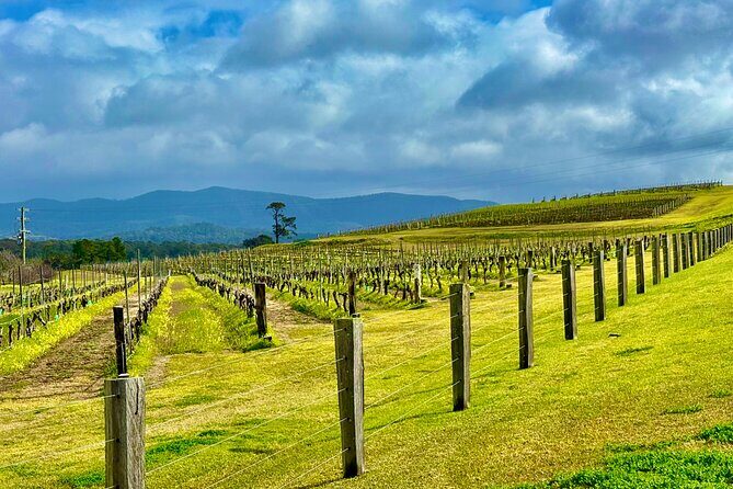 Hunter Valley Escape A Day of Wine Art and Aussie Countryside - A Scenic Journey from Sydney to the Hunter Valley