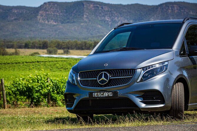 Hunter Valley Escape | Private Mercedes Wine Tour - An In-Depth Look at the Hunter Valley Escape | Private Mercedes Wine Tour