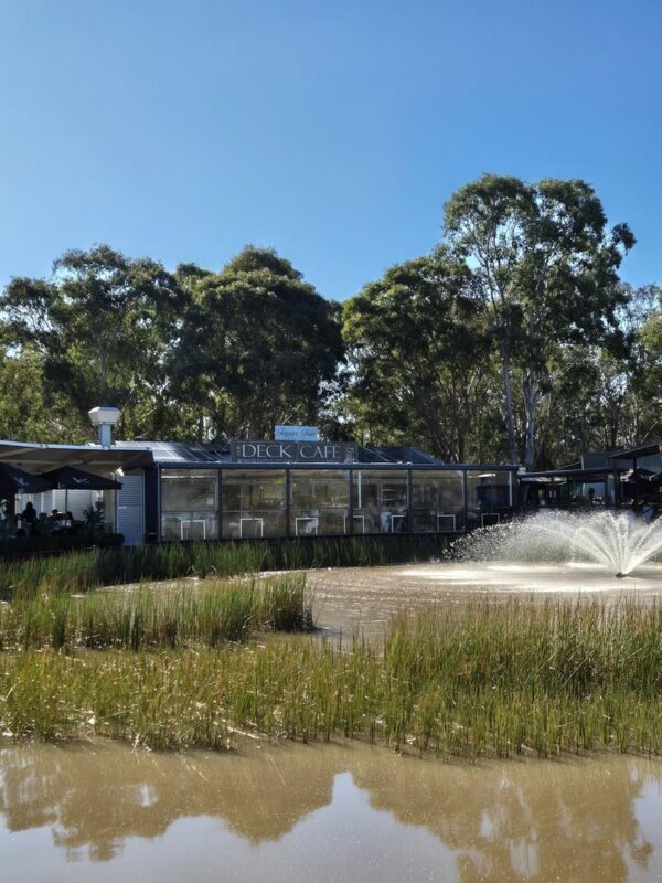 Hunter Valley Full-Day Small Group Wine Tasting Tour - Two Hunter Valley wineries, not a rushed cellar-door checklist