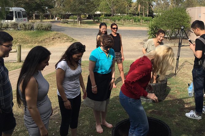 Hunter Valley Grape Stomping - Overview and Location