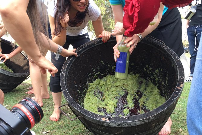Hunter Valley Grape Stomping - Additional Information