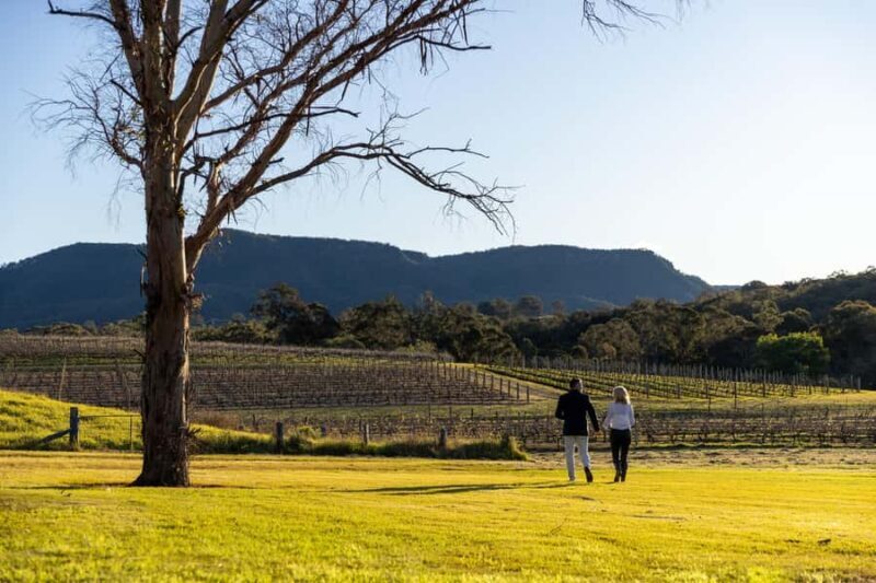 Hunter Valley: Pooles Rock Premiere Wine Tasting - The Venue and Location