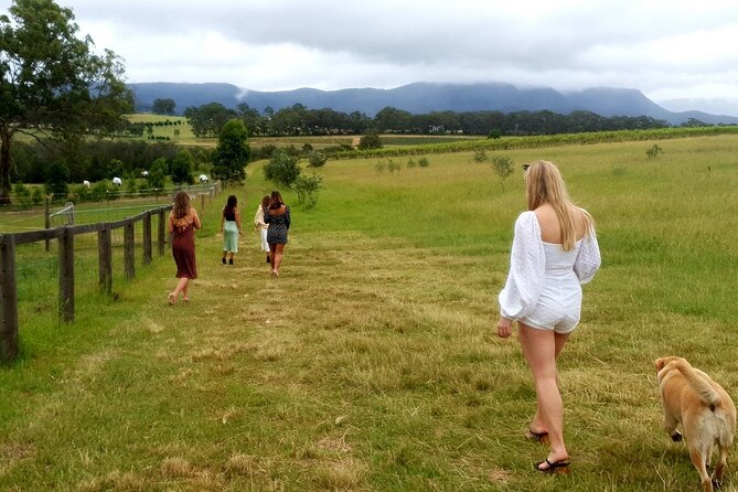 Hunter Valley Private Full-Day Wineries Tour With Lunch - Pickup and Meeting Information