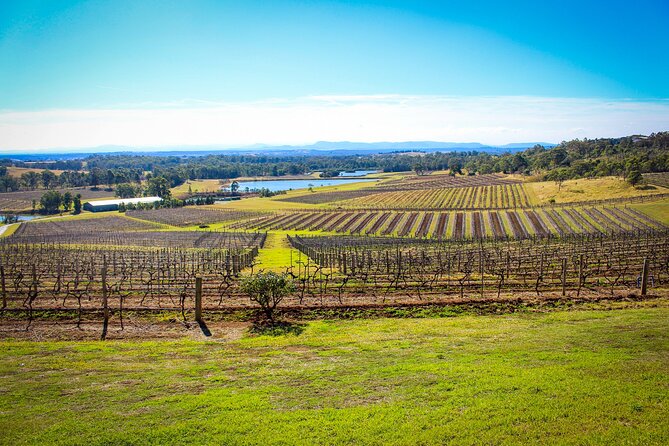 Hunter Valley Private Tour - Tour Itinerary and Schedule