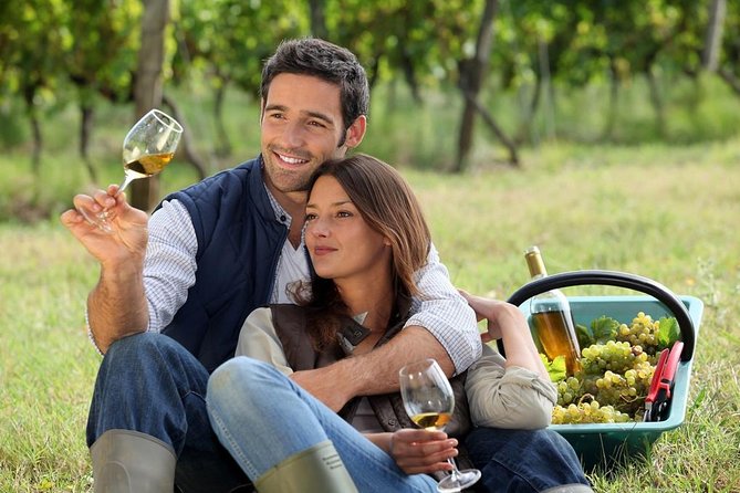 Hunter Valley Private Wine Tasting Tour From Sydney - Tour Highlights