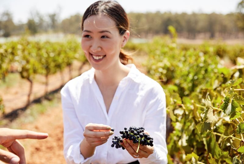 Hunter Valley Scenic Wine and Cheese Tour from Sydney - The road from Sydney is part of the day