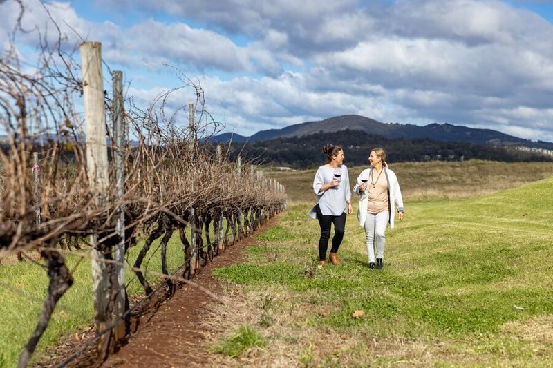 Hunter Valley Scenic Wine and Cheese Tour from Sydney - Cheese adds a welcome change of pace