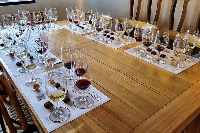 Hunter Valley Small Group Wine, Gin, Cheese & Chocolate Tour From Hunter Valley - Customer Testimonials