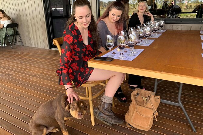 Hunter Valley Small Group Wine, Gin, Cheese & Chocolate Tour From Sydney - The Sum Up