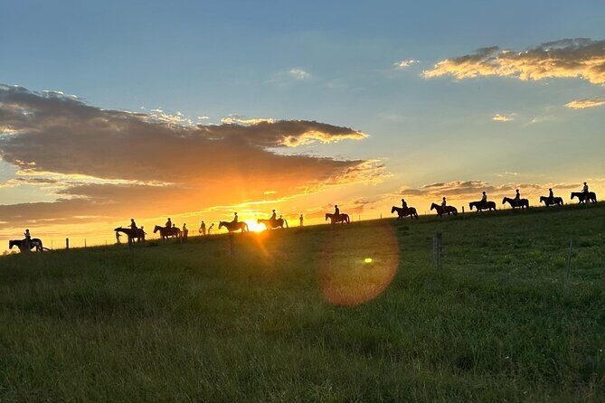 Hunter Valley Sunset Horse Ride - 90 Minutes - Hunter Valley Sunset Horse Ride - 90 Minutes Review