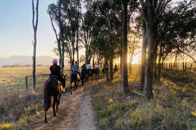 Hunter Valley Sunset Horse Ride - 90 Minutes - An Overview of the Experience