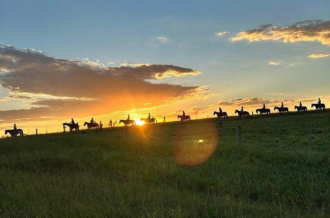 Hunter Valley Sunset Horse Ride - 90 Minutes - Safety, Group Size, and Comfort