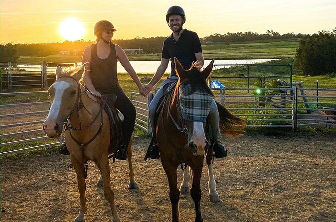 Hunter Valley Sunset Horse Ride - 90 Minutes - Value and Pricing