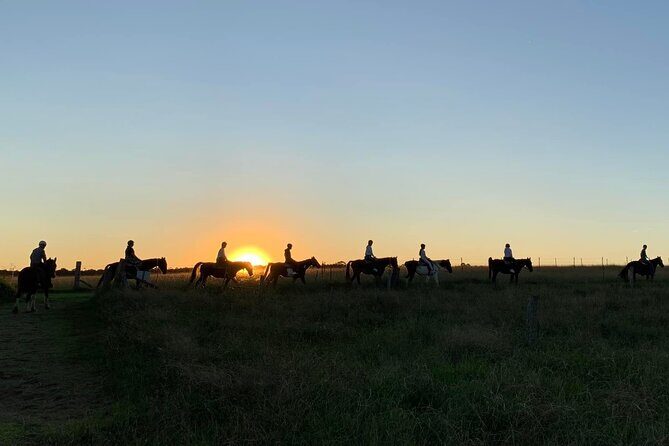 Hunter Valley Sunset Horse Ride - 90 Minutes - Who Will Love This Experience?