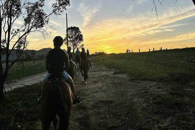 Hunter Valley Sunset Horse Ride - 90 Minutes - FAQ