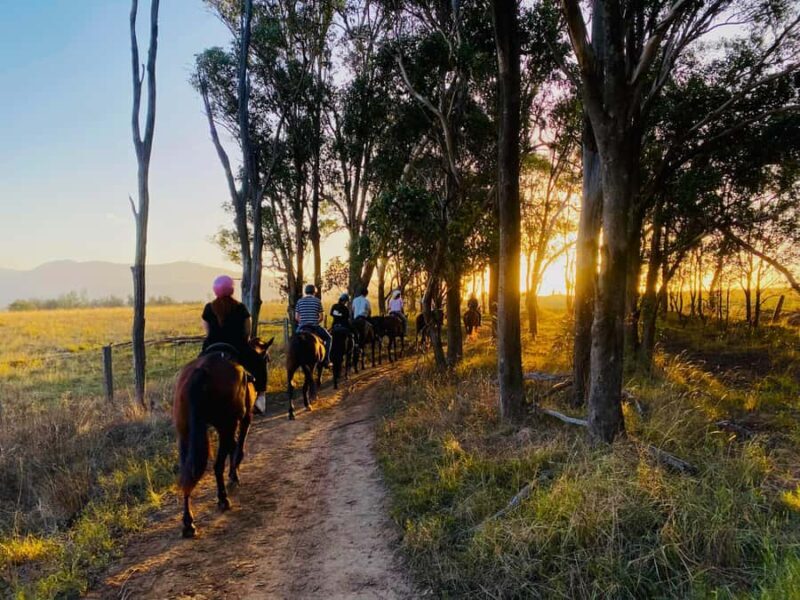 Hunter Valley: Sunset Horse Riding Tour 90min - Good To Know
