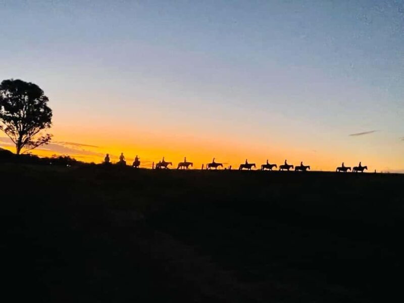 Hunter Valley: Sunset Horse Riding Tour 90min - An In-Depth Look at the Sunset Horse Riding Experience