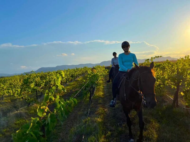 Hunter Valley: Sunset Horse Riding Tour 90min - Final Thoughts
