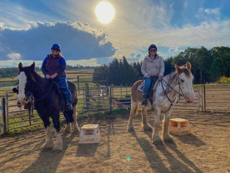 Hunter Valley: Sunset Horse Riding Tour 90min - FAQ