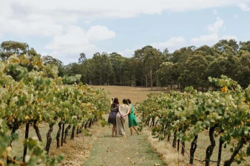 Hunter Valley: Tastes of the Hunter Half Day Tour - Practical Aspects
