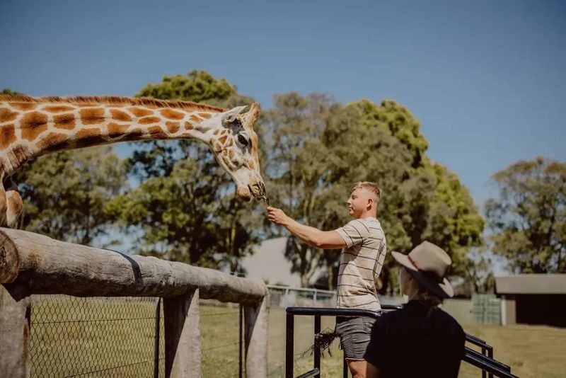 Hunter Valley Wildlife Park Ticket - What to know before you go