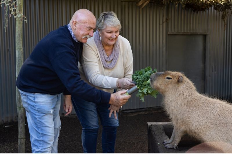 Hunter Valley Wildlife Park Ticket - Getting there, getting around and family practicalities