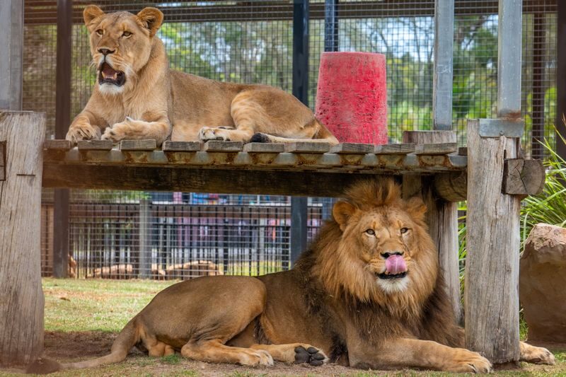 Hunter Valley Wildlife Park Ticket - Is the ticket good value?
