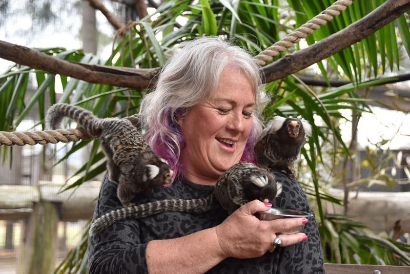 Hunter Valley Wildlife Park Ticket - Who should book Hunter Valley Wildlife Park?