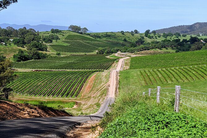 Hunter Valley wine and cheese starting from the Hunter region - Good To Know