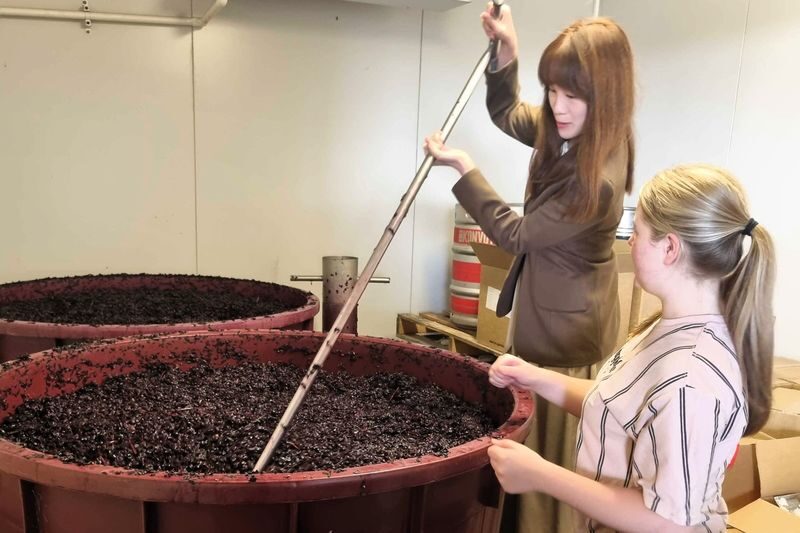 Hunter Valley Wine, Cheese and Chocolate Guided Tour - Who will enjoy this tour most