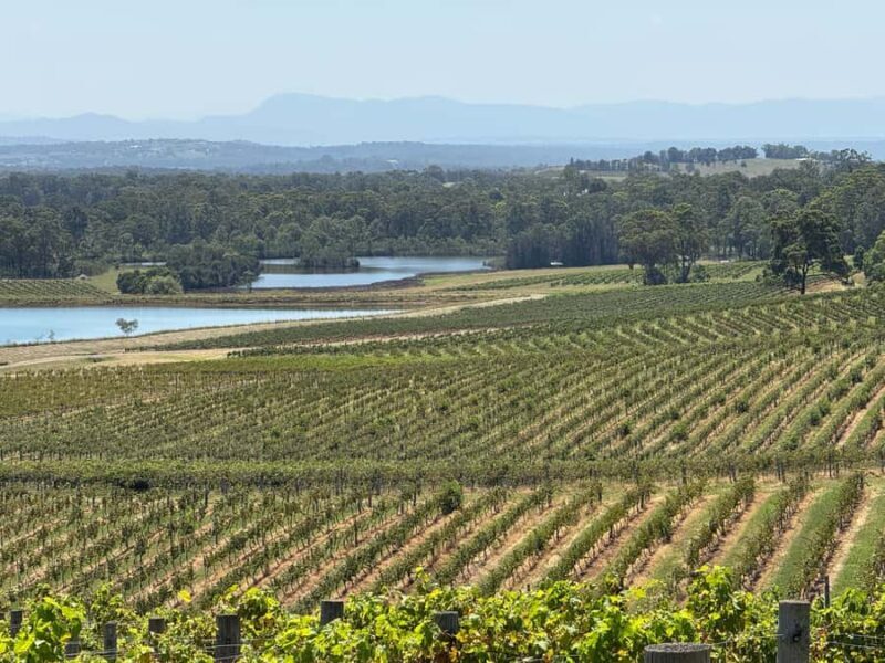 Hunter Valley Wine Tasting | Private Day Tour | From Sydney - Good To Know
