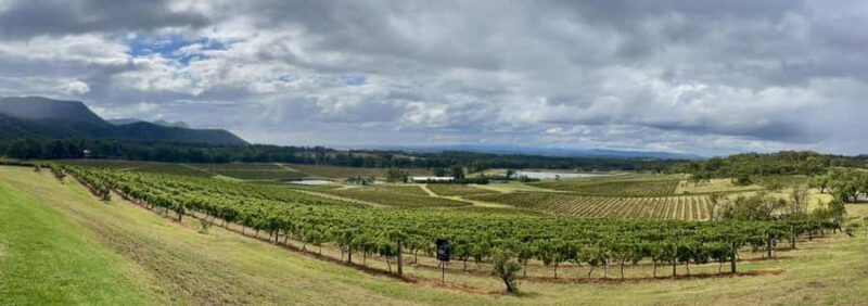 Hunter Valley Wine Tasting | Private Day Tour | From Sydney - The Sum Up