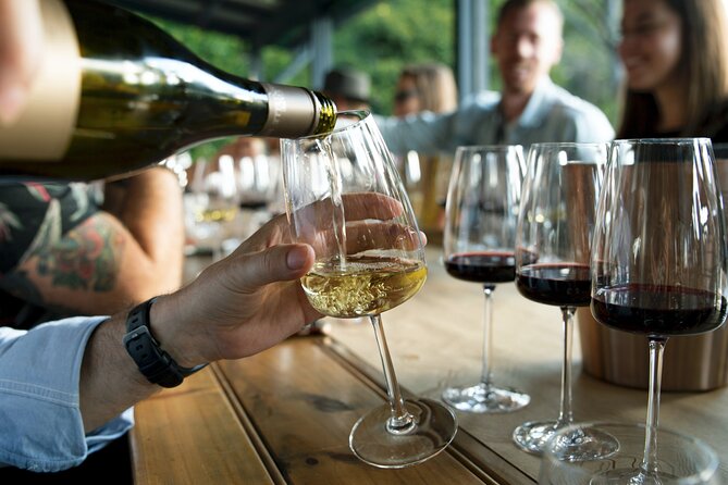 Hunter Valley Wine Tour Ex Hunter Valley - Lunch, Cheese, Chocolate, Distillery - Cancellation Policy and Booking Flexibility