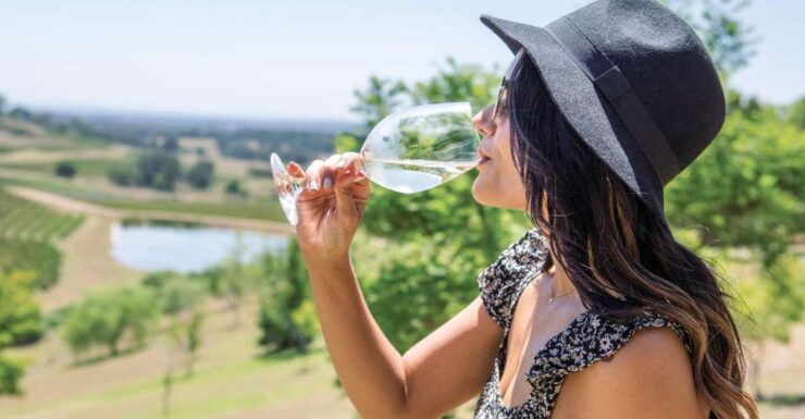 Hunter Valley: Wine Tour With 3 Tastings and Garden Lunch - Tasting Experiences