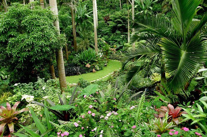 Hunte's Garden and St Nicholas Abbey small group Barbados tour - Who Is This Tour Best For?