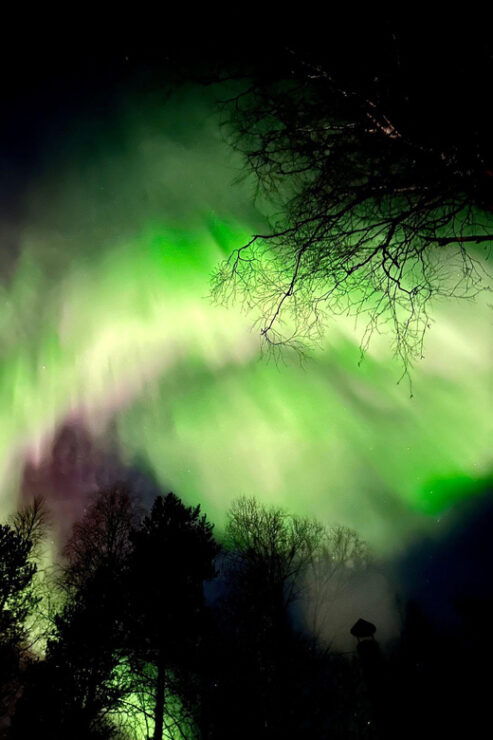Hunting Aurora With BBQ in Small Group - Highlights of the Tour