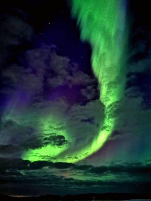 Hunting Aurora With BBQ in Small Group - Detailed Itinerary