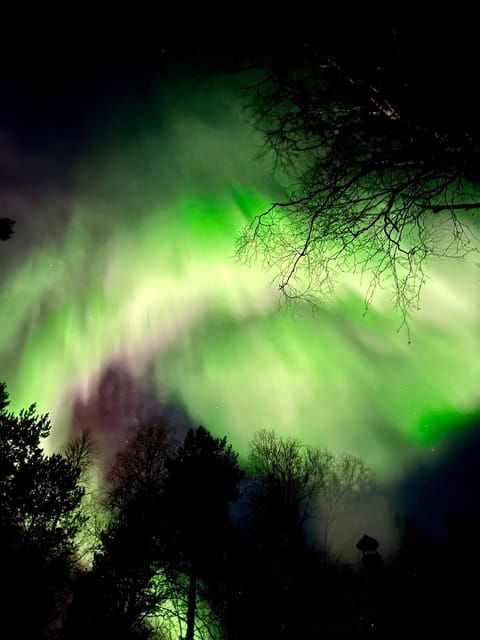 Hunting Aurora With BBQ in Small Group - Transportation Information