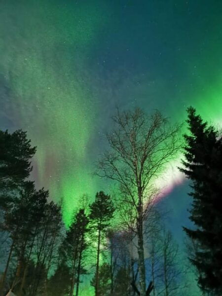 Hunting Aurora With BBQ in Small Group - Tips for an Enjoyable Experience