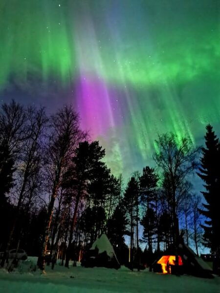 Hunting Aurora With BBQ in Small Group - Frequently Asked Questions