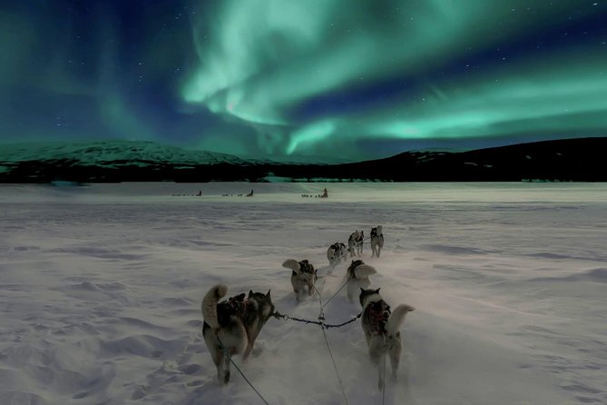 Hunting Northern Lights With Husky - Start and End Time