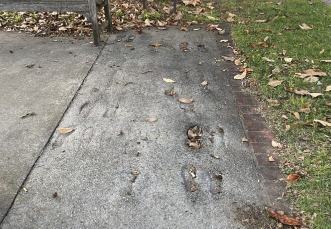 Huntsville: Self-Guided Walking Tour With Audio GPS - Location Information