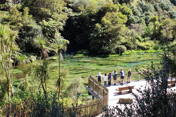 Hunua Falls and Blue Springs (Te Waihou): Private Tour - The Sum Up: Why You’ll Love This Private Tour