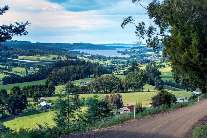 Huon Valley Private Tour - Ciders, Gins, Sheep's Cheese and Lunch - Who Will Love This Tour?